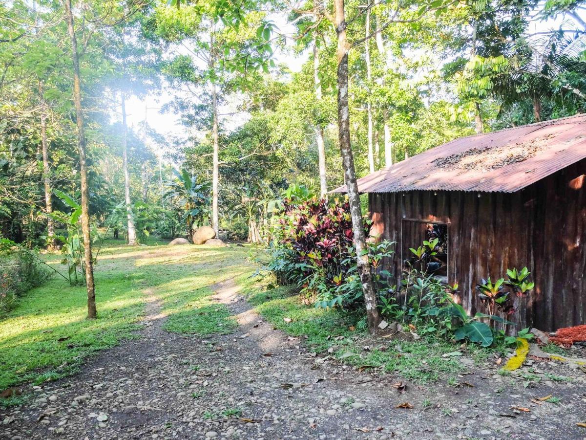 Villa Celeste Katira Rio Celeste Exterior foto